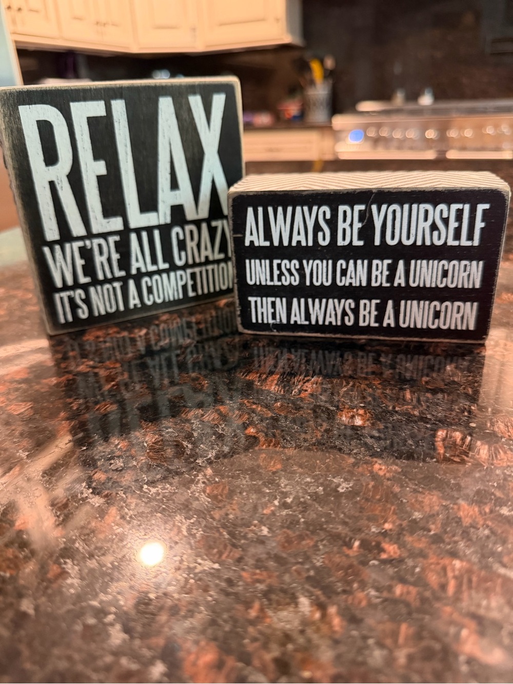 Set of 2 wooden funny slogan signs